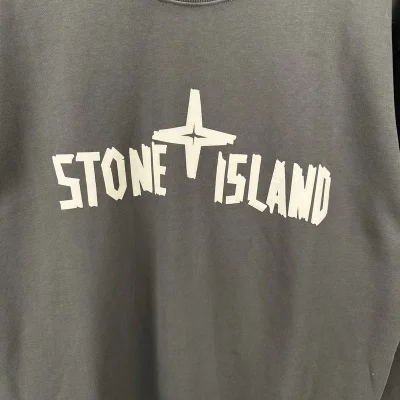Свитшот Stone Island With Text Logo And Emblem — Single Color "Gray" фото № 5