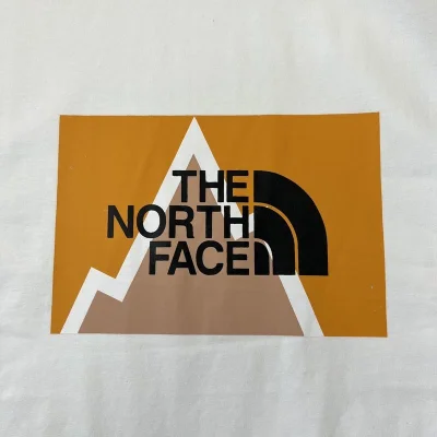 Футболка The North Face Top "White" фото № 3