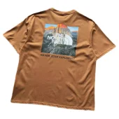 Футболка The North Face Logo Above Mountain View "Brown"