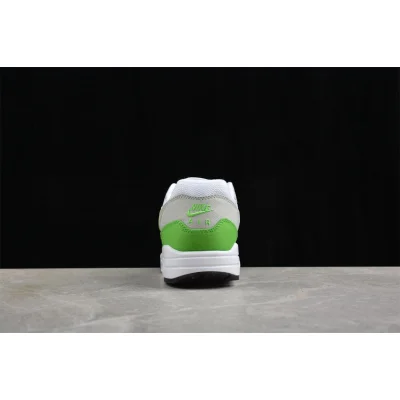 Patta x Nike Air Max 1 "Anniversary Chlorophyll" фото № 5