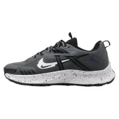 Gore-Tex x Nike Zoom Pegasus Trail 2 "Black/White"
