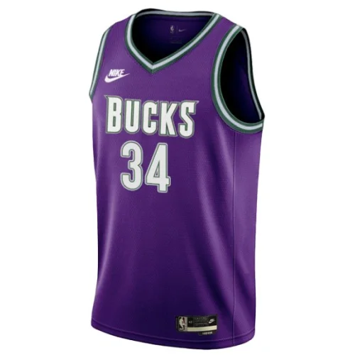 Баскетбольная Джерси Nike Milwaukee Bucks 22-23 №34 Giannis Antetokounmpo "Violet"