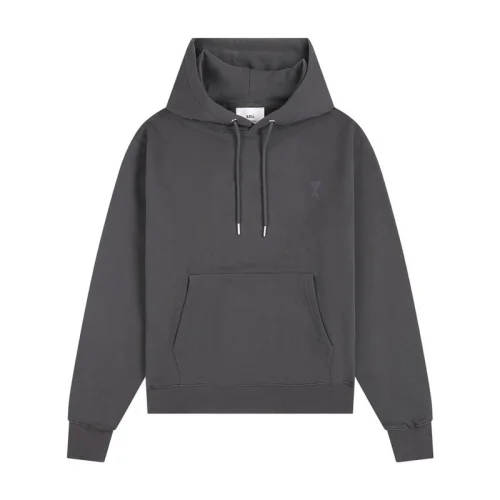 Худи Amiri With The Same Color Logo "Gray"
