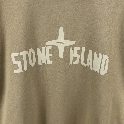 Свитшот Stone Island With Text Logo And Emblem — Single Color "Brown" фото № 3
