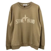 Свитшот Stone Island With Text Logo And Emblem — Single Color "Brown"