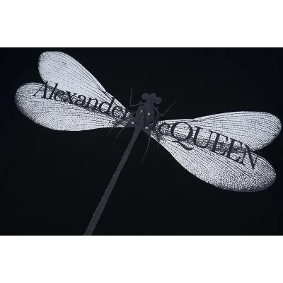 Футболка Alexander Mcqueen Dragonfly Print "Black" фото № 4 Футболка Alexander Mcqueen Dragonfly Print "Black" фото № 4