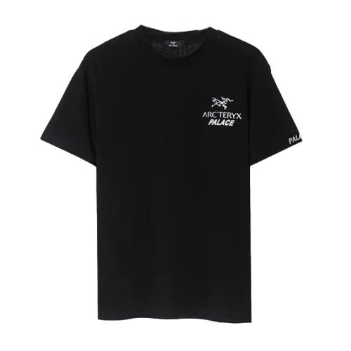 Футболка Arcteryx Inscription Palace "Black"