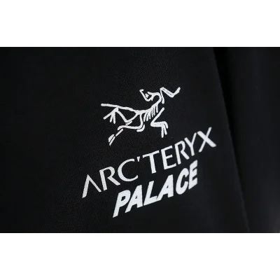 Футболка Arcteryx Inscription Palace "Black" фото № 4