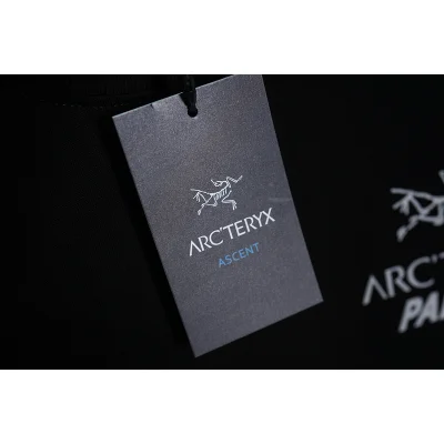 Футболка Arcteryx Inscription Palace "Black" фото № 5