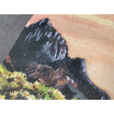 Футболка Dior Mount Zion Graphic "White" фото № 9