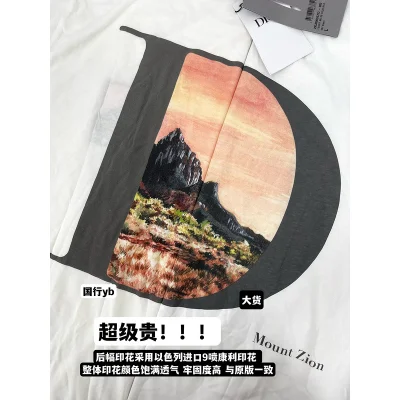 Футболка Dior Mount Zion Graphic "White" фото № 8