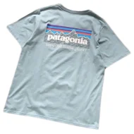 Футболка Patagonia Mountain View And Lettering Save Our Home Planet "Blue"