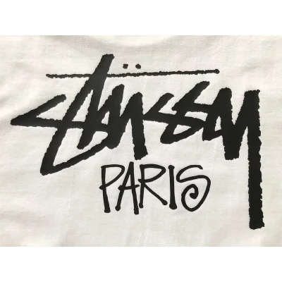 Футболка Stussy Inscription Paris "White" фото № 4