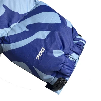 Пуховик The North Face Two Crosses And Brand Logo "Gray/Blue" фото № 5