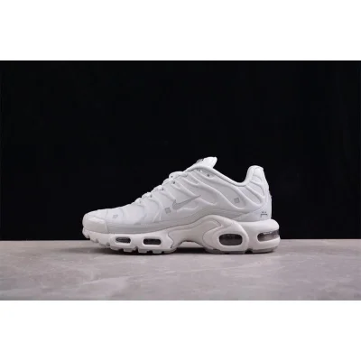 A-Cold-Wall* x Nike Air Max Plus "Platinum Tint" фото № 2 A-Cold-Wall* x Nike Air Max Plus "Platinum Tint" фото № 2