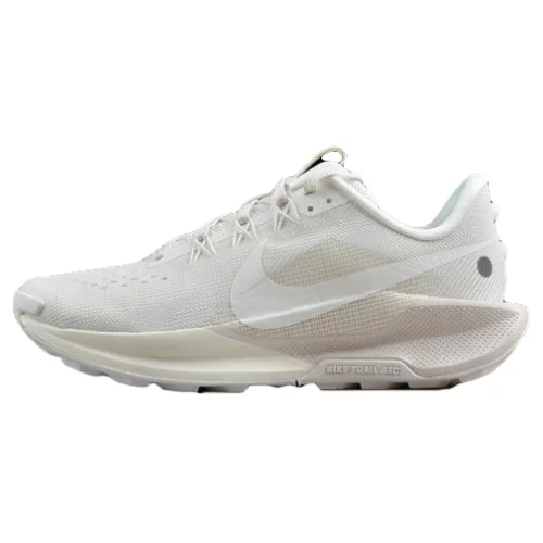 Nike Pegasus Trail 5 "Alpine Snow"