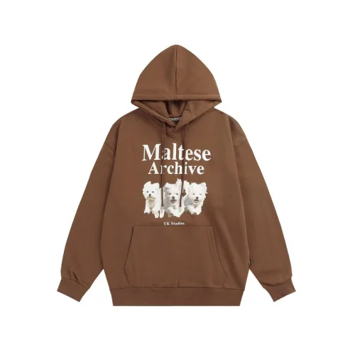 Худи Wai Kei Maltese Archive "Brown"