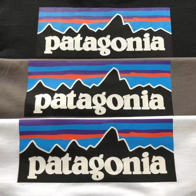 Лонгслив Patagonia Mountain Landscape Inside Rectangle "White" фото № 4