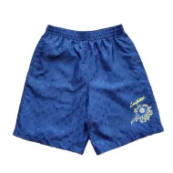 Шорты Louis Vuitton Sun Face "Blue"