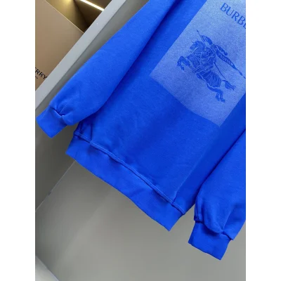 Свитшот Burberry Backside Print Warrior On The Horse "Blue" фото № 4