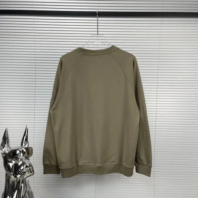 Свитшот Stone Island With Brand Logo On The Sleeve - Monochrome "Brown" фото № 2 Свитшот Stone Island With Brand Logo On The Sleeve - Monochrome "Brown" фото № 2