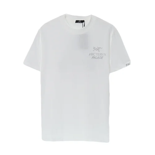 Футболка Arcteryx Inscription Palace "White"