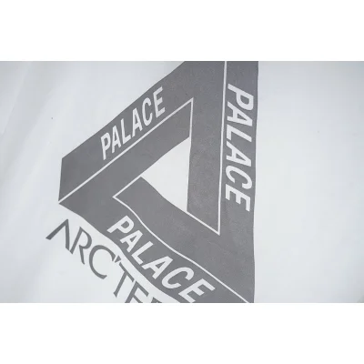 Футболка Arcteryx Inscription Palace "White" фото № 3
