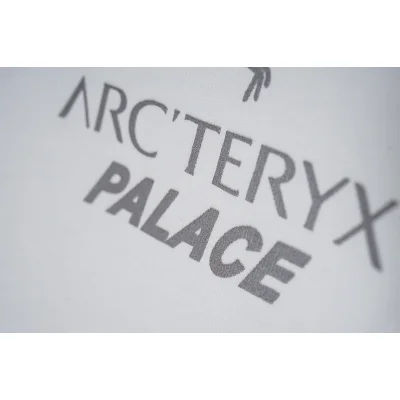 Футболка Arcteryx Inscription Palace "White" фото № 6