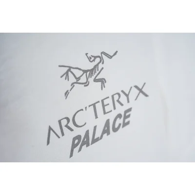 Футболка Arcteryx Inscription Palace "White" фото № 8
