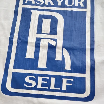 Футболка Askyurself Big Logo "White" фото № 2