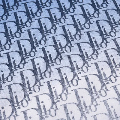 Футболка Christian Dior Half Painted "White/Blue" фото № 3