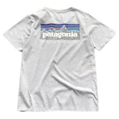 Футболка Patagonia Mountain View And Lettering Save Our Home Planet "Gray"