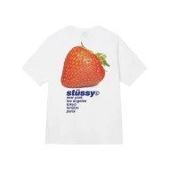 Футболка Stussy Berry And Cities "White"
