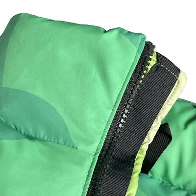 Пуховик The North Face Two Crosses And Brand Logo "Green/Blue" фото № 4 Пуховик The North Face Two Crosses And Brand Logo "Green/Blue" фото № 4