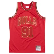 Баскетбольная Джерси NBA Chicago Bulls №91 Dennis Rodman "Red"