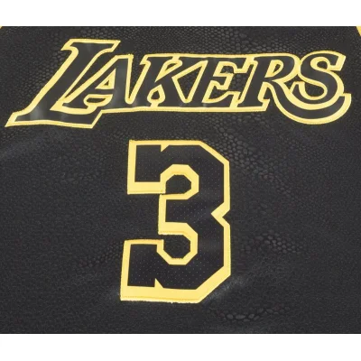 Баскетбольная Джерси Nike Los Angeles Lakers №3 Anthony Davis "Black" фото № 3