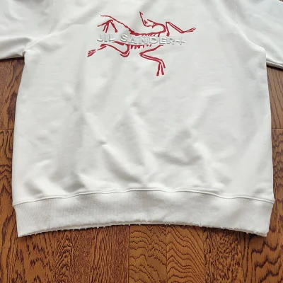 Свитшот Arcteryx Jil Sander And Logo "White" фото № 7