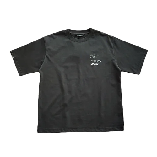 Футболка Arcteryx Logo With Print "Black"
