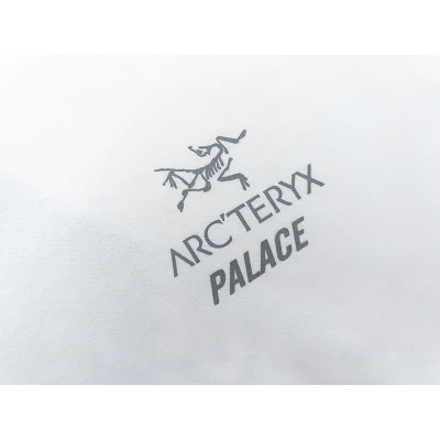 Футболка Arcteryx With The Skeleton Logo "White" фото № 5