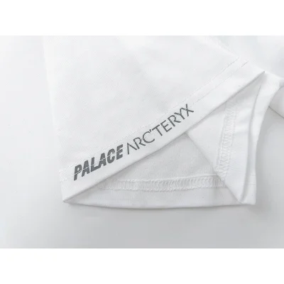 Футболка Arcteryx With The Skeleton Logo "White" фото № 3