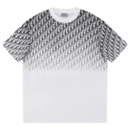 Футболка Christian Dior Half Painted "White/Gray"