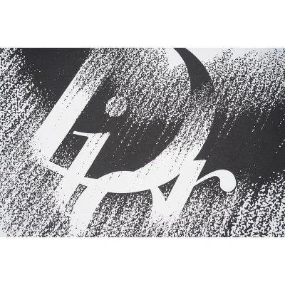 Футболка Christian Dior Logo On Scattering Background "White" фото № 3