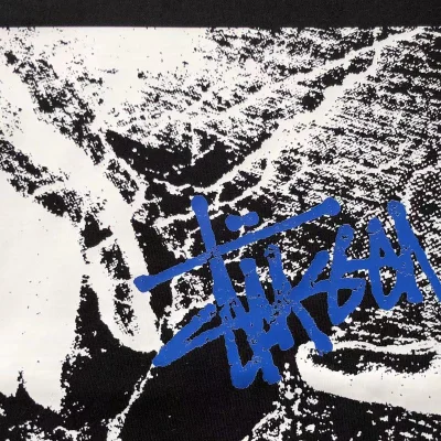 Футболка Stussy Logo Between Hands "Black" фото № 5