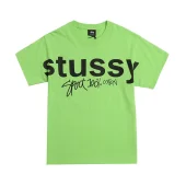 Футболка Stussy 100 Percent Cotton "Green"