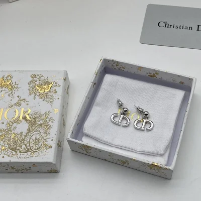 Серьги Dior Logo Decoration "Silver" фото № 3