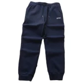 Штаны Boss Pasted Front Logo "Blue"