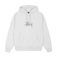 Худи Stussy Logo In The Center