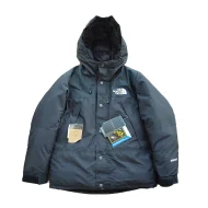 Куртка-пуховик The North Face X Gore-Tex Brand