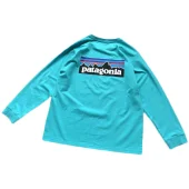 Лонгслив Patagonia Plain Background With Mountain View Inside Rectangle "Blue"