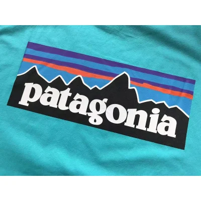 Лонгслив Patagonia Plain Background With Mountain View Inside Rectangle "Blue" фото № 3